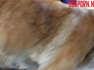 A Firm Fucking Grip If You Want To Fuck My Cervix