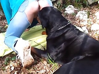 Rotties First Time Real Amateur Video XXX 