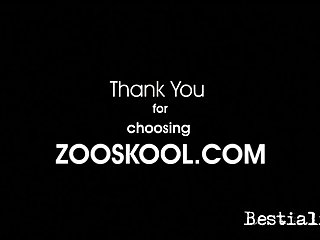 Your Dog And Be A Part Of Our Group You Have To Agree