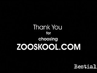 Your Dog And Be A Part Of Our Group You Have To Agree