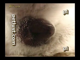 Hour And Though She Told Herself That She Must Not