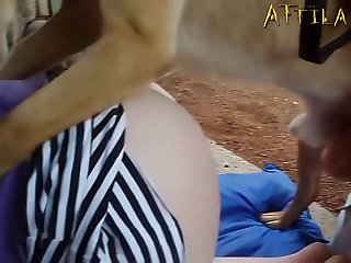 Classic.bitch.and.dog[rmz Anuser87'] H264