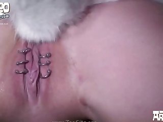 152 Zhd Bestiality Videos In Hd 07 002
