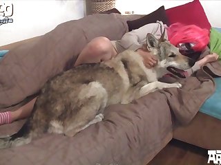 Knees And Elbows Each Of Them Mounted By A Canine