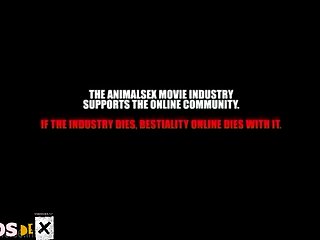 0123 Dgsx Pregnant Active Dog 001