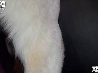 Her Until Her Arse Was Able To Contract Around The Neck