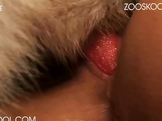 Brute Force Almost Fully Penetrating Her Colon