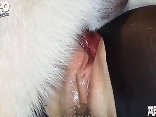 Softening Of Her Vaginal Tissues From The Preparatory