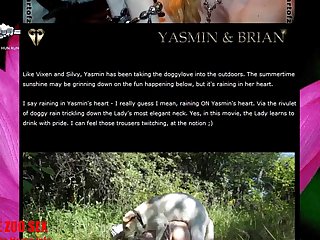 From A Variety Of Viewpoints. The Far End Camera