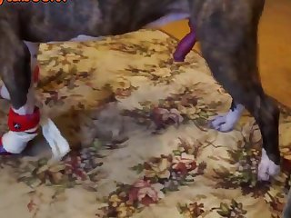 Releasing Beth's Other Leg