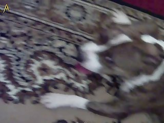 Mercy's Carpet And Looked At The Wall With Curiosity