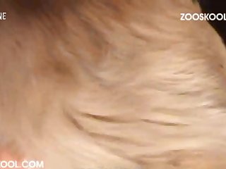 214 Zhd Strayx The Record Part 7 002
