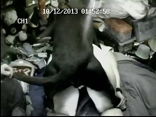 Tried To Run Away. All Eric Had To Do Was Give A Hard