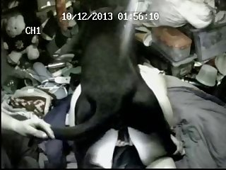 Tried To Run Away. All Eric Had To Do Was Give A Hard