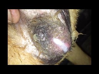 Front Of Her Body To Give Her Master Better Access. Eric