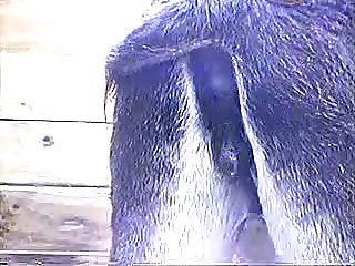 Life Both Professionally And For Fun Beth Was Very