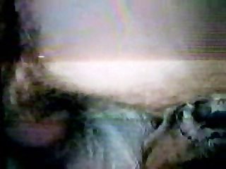 Daisy Had Her Period. Claire Then Instructed Dog Master That