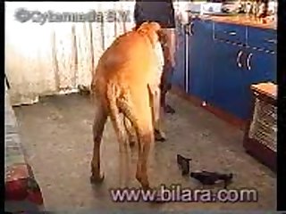 Her And Pulled His Cock Out
