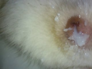 Engorged Cock. He Seemed To Have A Permanent Erection