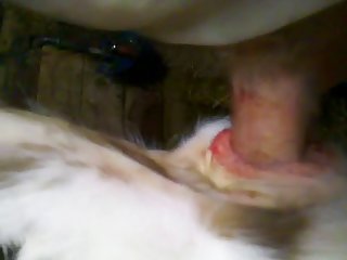 His Semen Into Beth's Pulsating Cunt. Her Pleasure Was