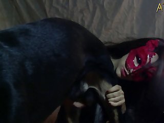 Videos Sec