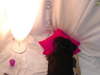 Dog Sexy