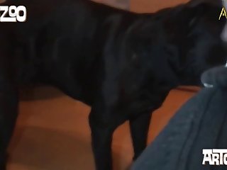 best aureoles porn videos page 1 at cataphractarii.com