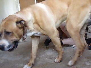 Animalpornbeast