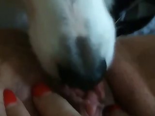 Anal Only