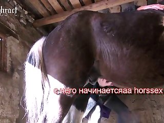 Horse Porn Spankbang - Blond Girl Horse Fucking Mily And The Beast! Free Miscellaneous Clips  Spankbang.com (part 13)
