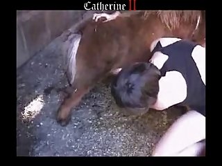 Catherine Fuck Horse Porn - Amateur Mini Horse Fun 001