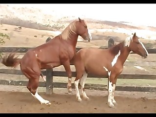 November 2014 Scene 04