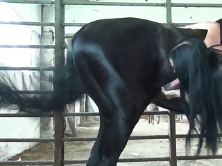 What The Fuck Dude What's Wrong With You