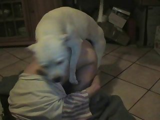 Joporn
