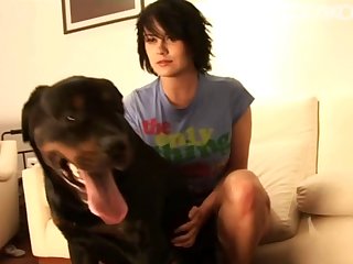 Animal Sex Porn