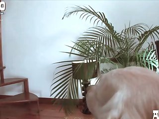 Free Beastiality Porn