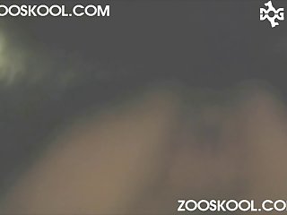 Man Loves Animal Porn