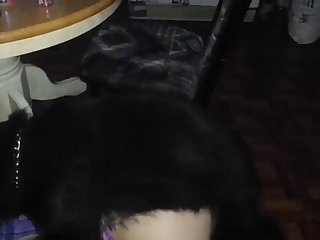 Porn Animal Squirt