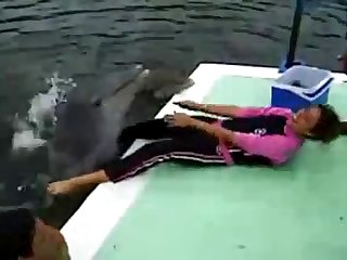 Free Animal Sex Porn Video