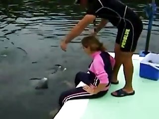 Free Animal Sex Porn Video