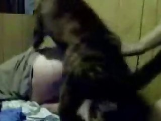 Animal Crossing Ankha Dance Porn