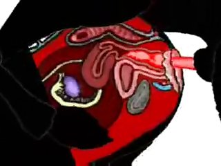 Hot Cartoon Animal Porn