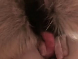 Heavily Pregnant Animal Porn