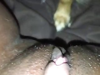 Animal Taxidermy Porn