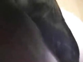Animated Animal Vore Porn