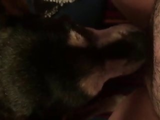 Animal Porn Apps