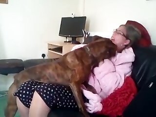 Getting Fucked By An Animal Porn