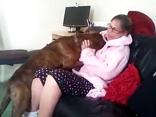 Getting Fucked By An Animal Porn