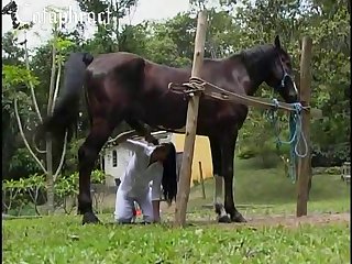 Instructed Me To Bend Over Under The Horse She Eased