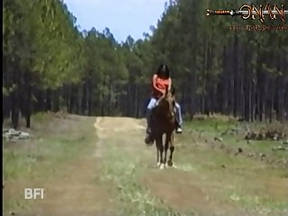 Zoofilia Con Caballos Pony